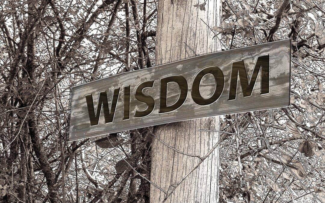 What's the point of Wisdom in Life?